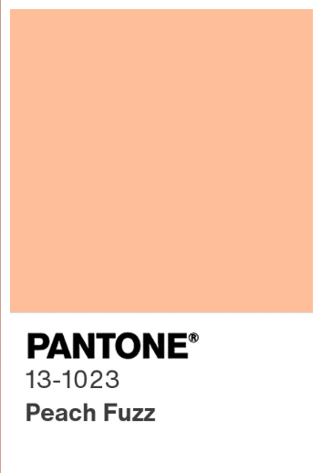 Pantone 13-1023 Prach Fuzz